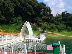 -广州市流溪河国家森林公园