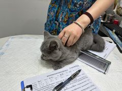 -派特宠物医院(圆融广场店)