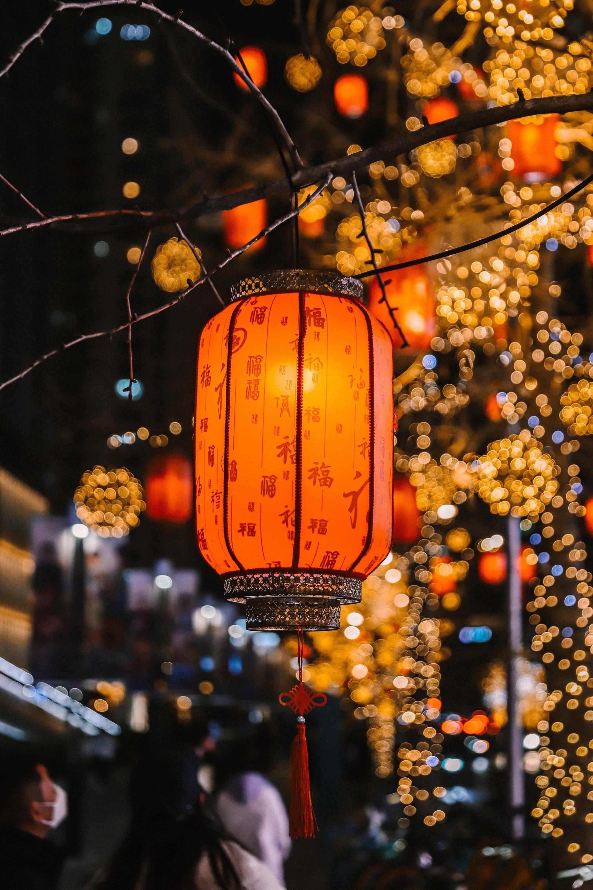 华灯初上