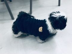 -边渡咖啡烘焙店(昙华林店)