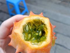 -龙舟池
