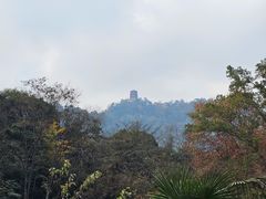 -芝兰斋糕干店(平山道店)