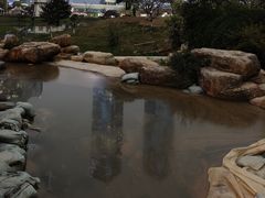 -花果园湿地公园