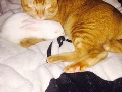 -西安老王家(振兴西路店)