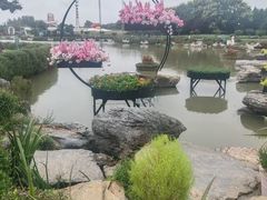 -荷兰花海