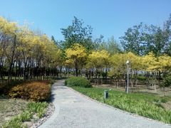 -东疆建设开发纪念公园