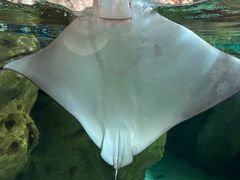 -珠海长隆海洋王国