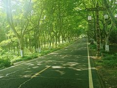 -宜兴龙背山森林公园