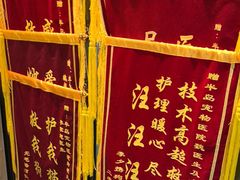 -半岛宠物医院24小时·内窥镜·牙科·碎石中心(府城大道店)