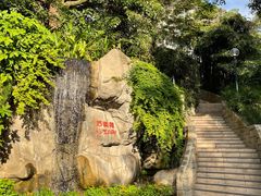 -九龙公园