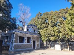 -北京鹫峰国家森林公园