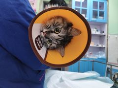 -天津前进宠物医院(前进道店)