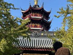 -鸡鸣赐茶(鸡鸣寺路店)