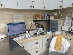 -瑞派天使宠物医院·神经外科·骨科·核磁(洛川中路店)