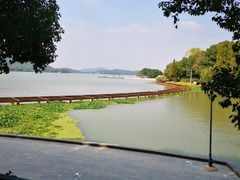 -水上明月·湖景餐厅