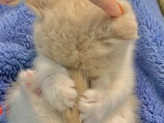 -半天妖烤鱼(桐乡万嘉购物中心店)