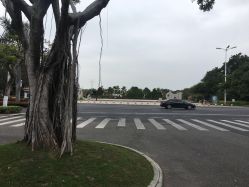 -舒友海鲜大酒楼·宴会厅(白鹭洲旗舰店)