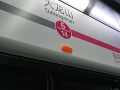 -大龙山(地铁站)