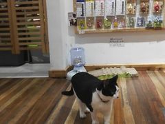 -猫的天空之城概念书店(杭州南宋御街店)