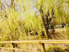 -青岛第三海水浴场