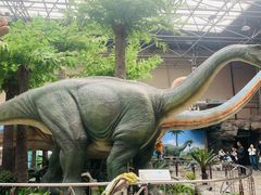 -国家自然博物馆