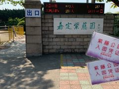 -嘉定紫藤园