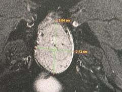 -北京派仕佳德动物医院·超导核磁·CT·神经科·骨科·内外科·急重症管理中心