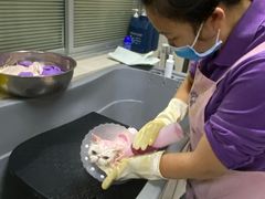 -北京观赏动物医院·24小时大型综合·猫专科·异宠专科