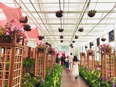 -盈香心动乐园
