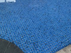 -兴芮温泉度假区