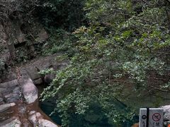 -大奇山国家森林公园