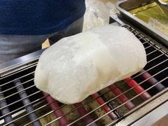 -内涵饵块