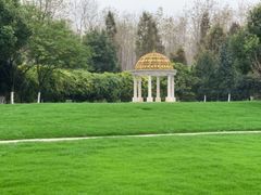 -合肥滨湖国家森林公园