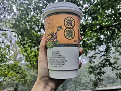 岭南荔枝-茶颜悦色(岳麓山顶店)