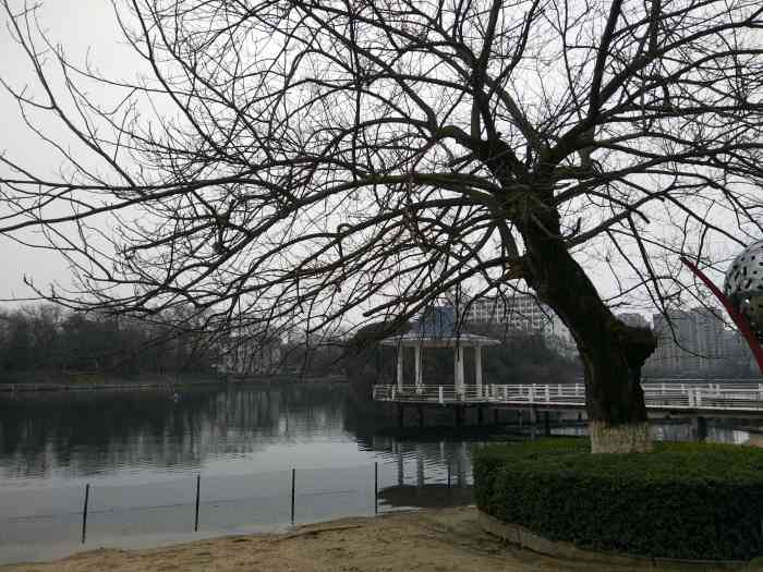 人民公园-"人民公园是抚州市中心一个大公园,里面非常.