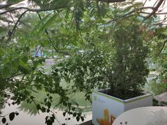-奈雪的茶(大梅沙8号仓店)