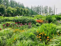 -前小桔亲子创意农场·草莓采摘·露营烧烤