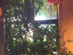 -庭苑饭香·生态餐厅(动物园店)