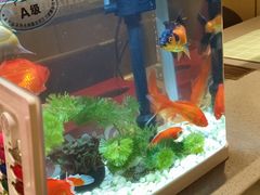 -海底捞火锅(武胜路凯德广场店)