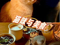 -咖法森林·咖啡  酒吧(天河店)