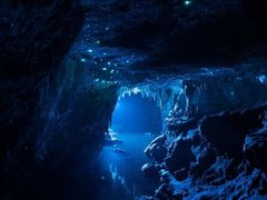 -怀托摩萤火虫洞