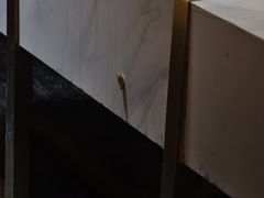 -5号KTV音乐广场(天通苑店)