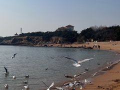 -青岛第二海水浴场