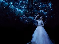 -怀托摩萤火虫洞