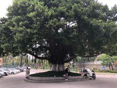 -福建师范大学(仓山校区)
