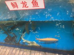 -二厨·吊桥小院·脆皮烧鸡公·本地农家菜(沿江西路店)