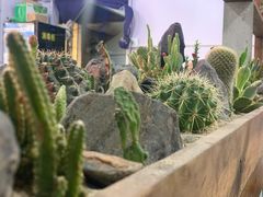 -冷峰马家鸡蛋牛奶醪糟(八朗学五巷店)