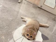 -花二家·生活馆(六运小区店)
