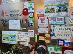 -咸草酱蟹