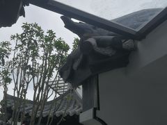 -广东天露山旅游度假区